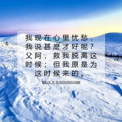 Picture 07 - 约 翰 福 音 12:27 CUVS - 我 现 在 心 里 忧 愁 ， 我 说 甚 麽 - Bible Verse Picture