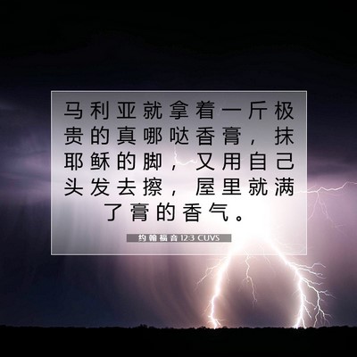 Picture 07 - 约 翰 福 音 12:3 CUVS - 马 利 亚 就 拿 着 一 斤 极 贵 的 真 - Bible Verse Picture