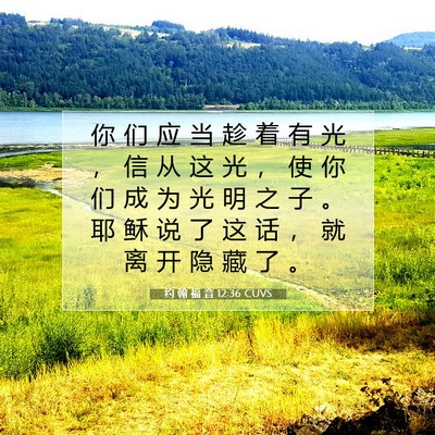 Picture 07 - 约 翰 福 音 12:36 CUVS - 你 们 应 当 趁 着 有 光 ， 信 从 这 - Bible Verse Picture