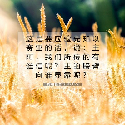 Picture 07 - 约 翰 福 音 12:38 CUVS - 这 是 要 应 验 先 知 以 赛 亚 的 话 - Bible Verse Picture