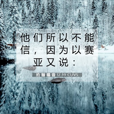Picture 07 - 约 翰 福 音 12:39 CUVS - 他 们 所 以 不 能 信 ， 因 为 以 赛 - Bible Verse Picture