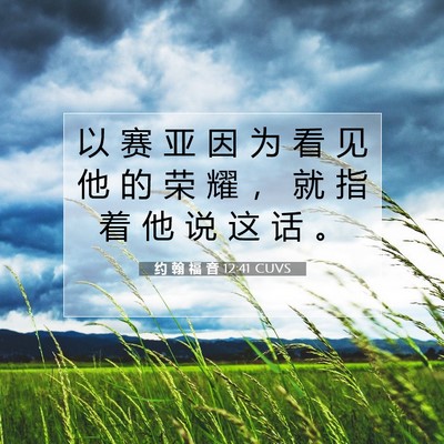 Picture 07 - 约 翰 福 音 12:41 CUVS - 以 赛 亚 因 为 看 见 他 的 荣 耀 ， - Bible Verse Picture