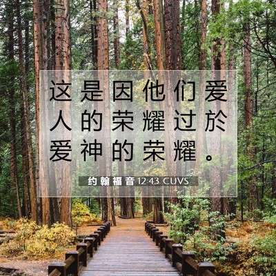 Picture 07 - 约 翰 福 音 12:43 CUVS - 这 是 因 他 们 爱 人 的 荣 耀 过 於 - Bible Verse Picture