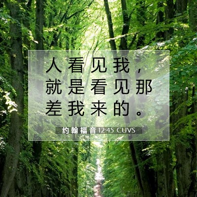 Picture 07 - 约 翰 福 音 12:45 CUVS - 人 看 见 我 ， 就 是 看 见 那 差 我 - Bible Verse Picture