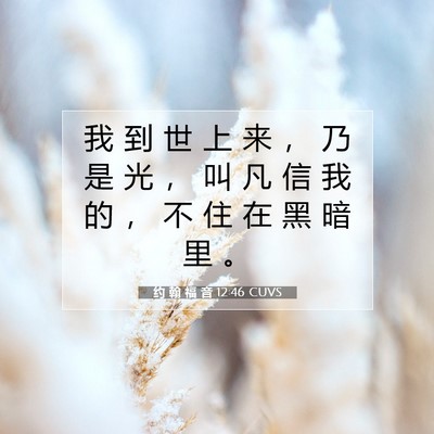 Picture 07 - 约 翰 福 音 12:46 CUVS - 我 到 世 上 来 ， 乃 是 光 ， 叫 凡 - Bible Verse Picture