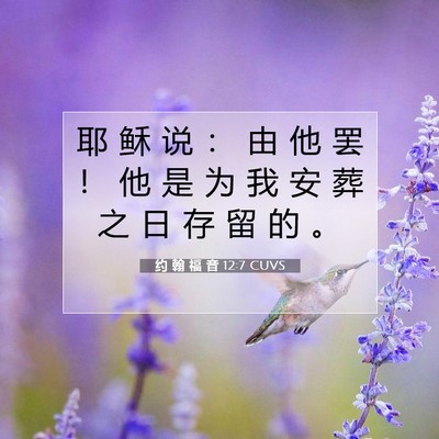 Picture 07 - 约 翰 福 音 12:7 CUVS - 耶 稣 说 ： 由 他 罢 ！ 他 是 为 我 - Bible Verse Picture