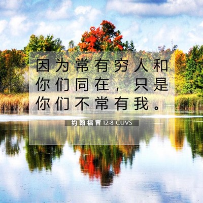 Picture 07 - 约 翰 福 音 12:8 CUVS - 因 为 常 有 穷 人 和 你 们 同 在 ， - Bible Verse Picture