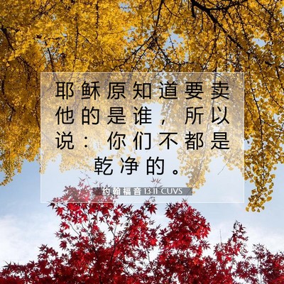 Picture 07 - 约 翰 福 音 13:11 CUVS - 耶 稣 原 知 道 要 卖 他 的 是 谁 ， - Bible Verse Picture