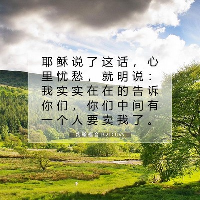 Picture 07 - 约 翰 福 音 13:21 CUVS - 耶 稣 说 了 这 话 ， 心 里 忧 愁 ， - Bible Verse Picture