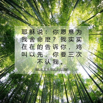 Picture 07 - 约 翰 福 音 13:38 CUVS - 耶 稣 说 ： 你 愿 意 为 我 舍 命 麽 - Bible Verse Picture