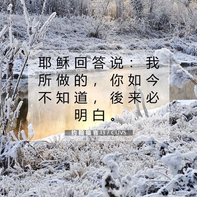 Picture 07 - 约 翰 福 音 13:7 CUVS - 耶 稣 回 答 说 ： 我 所 做 的 ， 你 - Bible Verse Picture