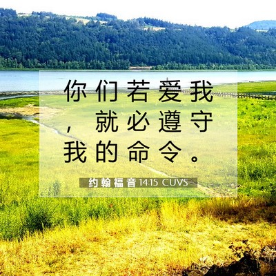 Picture 07 - 约 翰 福 音 14:15 CUVS - 你 们 若 爱 我 ， 就 必 遵 守 我 的 - Bible Verse Picture