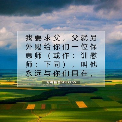 Picture 07 - 约 翰 福 音 14:16 CUVS - 我 要 求 父 ， 父 就 另 外 赐 给 你 - Bible Verse Picture