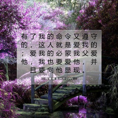 Picture 07 - 约 翰 福 音 14:21 CUVS - 有 了 我 的 命 令 又 遵 守 的 ， 这 - Bible Verse Picture