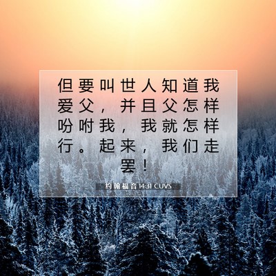 Picture 07 - 约 翰 福 音 14:31 CUVS - 但 要 叫 世 人 知 道 我 爱 父 ， 并 - Bible Verse Picture
