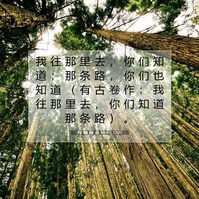 Picture 07 - 约 翰 福 音 14:4 CUVS - 我 往 那 里 去 ， 你 们 知 道 ； 那 - Bible Verse Picture