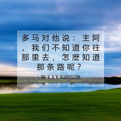 Picture 07 - 约 翰 福 音 14:5 CUVS - 多 马 对 他 说 ： 主 阿 ， 我 们 不 - Bible Verse Picture