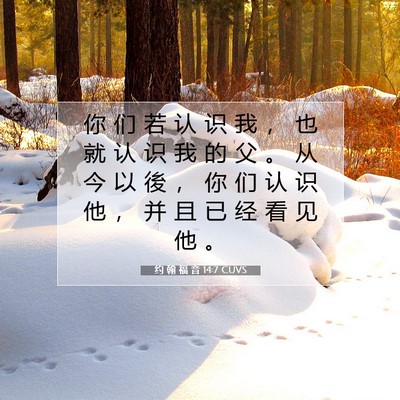 Picture 07 - 约 翰 福 音 14:7 CUVS - 你 们 若 认 识 我 ， 也 就 认 识 我 - Bible Verse Picture