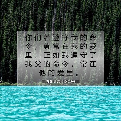 Picture 07 - 约 翰 福 音 15:10 CUVS - 你 们 若 遵 守 我 的 命 令 ， 就 常 - Bible Verse Picture