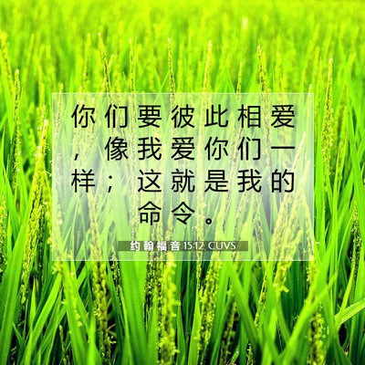 Picture 07 - 约 翰 福 音 15:12 CUVS - 你 们 要 彼 此 相 爱 ， 像 我 爱 你 - Bible Verse Picture