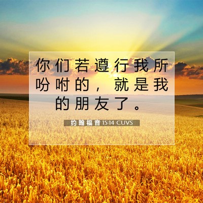 Picture 07 - 约 翰 福 音 15:14 CUVS - 你 们 若 遵 行 我 所 吩 咐 的 ， 就 - Bible Verse Picture
