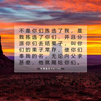 Picture 07 - 约 翰 福 音 15:16 CUVS - 不 是 你 们 拣 选 了 我 ， 是 我 拣 - Bible Verse Picture