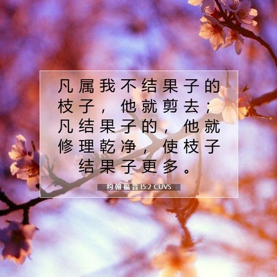 Picture 07 - 约 翰 福 音 15:2 CUVS - 凡 属 我 不 结 果 子 的 枝 子 ， 他 - Bible Verse Picture