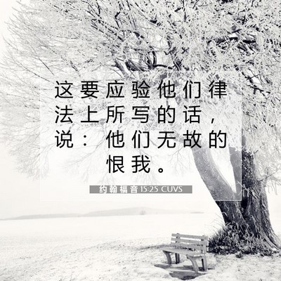 Picture 07 - 约 翰 福 音 15:25 CUVS - 这 要 应 验 他 们 律 法 上 所 写 的 - Bible Verse Picture