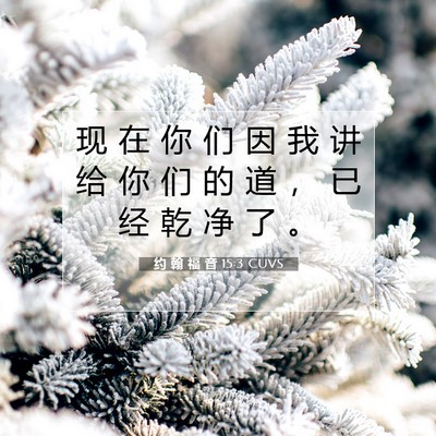 Picture 07 - 约 翰 福 音 15:3 CUVS - 现 在 你 们 因 我 讲 给 你 们 的 道 - Bible Verse Picture