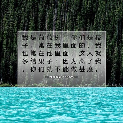 Picture 07 - 约 翰 福 音 15:5 CUVS - 我 是 葡 萄 树 ， 你 们 是 枝 子 。 - Bible Verse Picture