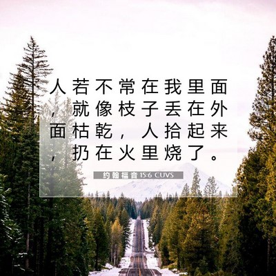 Picture 07 - 约 翰 福 音 15:6 CUVS - 人 若 不 常 在 我 里 面 ， 就 像 枝 - Bible Verse Picture