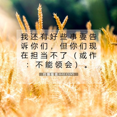 Picture 07 - 约 翰 福 音 16:12 CUVS - 我 还 有 好 些 事 要 告 诉 你 们 ， - Bible Verse Picture