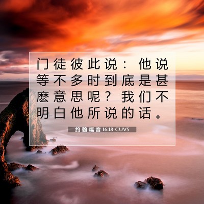 Picture 07 - 约 翰 福 音 16:18 CUVS - 门 徒 彼 此 说 ： 他 说 等 不 多 时 - Bible Verse Picture