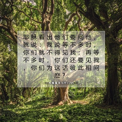 Picture 07 - 约 翰 福 音 16:19 CUVS - 耶 稣 看 出 他 们 要 问 他 ， 就 说 - Bible Verse Picture