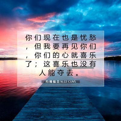 Picture 07 - 约 翰 福 音 16:22 CUVS - 你 们 现 在 也 是 忧 愁 ， 但 我 要 - Bible Verse Picture