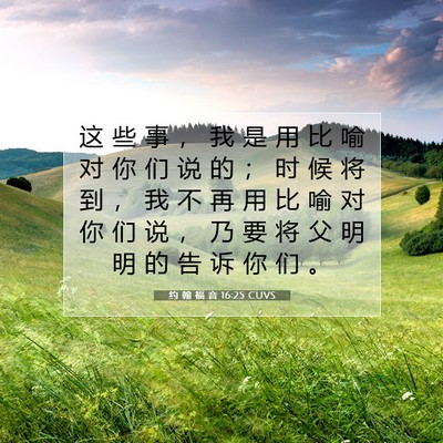 Picture 07 - 约 翰 福 音 16:25 CUVS - 这 些 事 ， 我 是 用 比 喻 对 你 们 - Bible Verse Picture