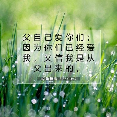Picture 07 - 约 翰 福 音 16:27 CUVS - 父 自 己 爱 你 们 ； 因 为 你 们 已 - Bible Verse Picture