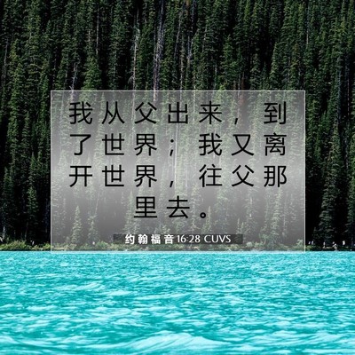 Picture 07 - 约 翰 福 音 16:28 CUVS - 我 从 父 出 来 ， 到 了 世 界 ； 我 - Bible Verse Picture