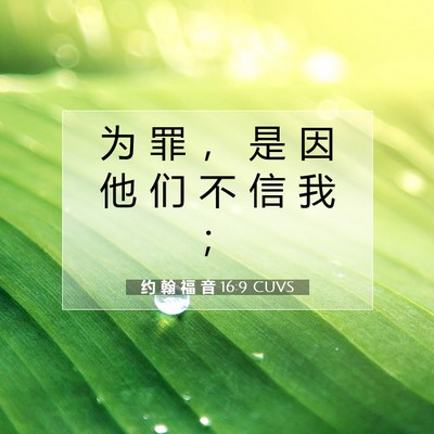 Picture 07 - 约 翰 福 音 16:9 CUVS - 为 罪 ， 是 因 他 们 不 信 我 - Bible Verse Picture