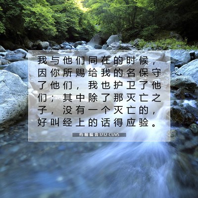 Picture 07 - 约 翰 福 音 17:12 CUVS - 我 与 他 们 同 在 的 时 候 ， 因 你 - Bible Verse Picture