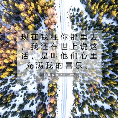 Picture 07 - 约 翰 福 音 17:13 CUVS - 现 在 我 往 你 那 里 去 ， 我 还 在 - Bible Verse Picture