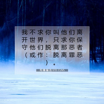 Picture 07 - 约 翰 福 音 17:15 CUVS - 我 不 求 你 叫 他 们 离 开 世 界 ， - Bible Verse Picture