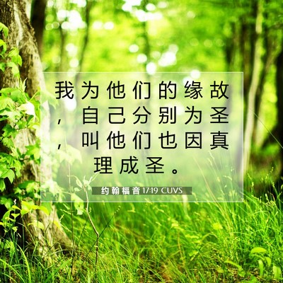 Picture 07 - 约 翰 福 音 17:19 CUVS - 我 为 他 们 的 缘 故 ， 自 己 分 别 - Bible Verse Picture