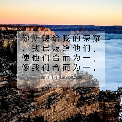 Picture 07 - 约 翰 福 音 17:22 CUVS - 你 所 赐 给 我 的 荣 耀 ， 我 已 赐 - Bible Verse Picture