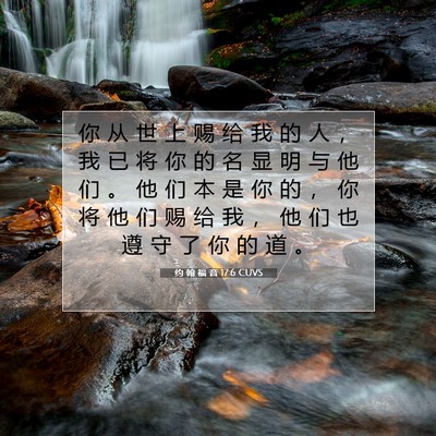 Picture 07 - 约 翰 福 音 17:6 CUVS - 你 从 世 上 赐 给 我 的 人 ， 我 已 - Bible Verse Picture