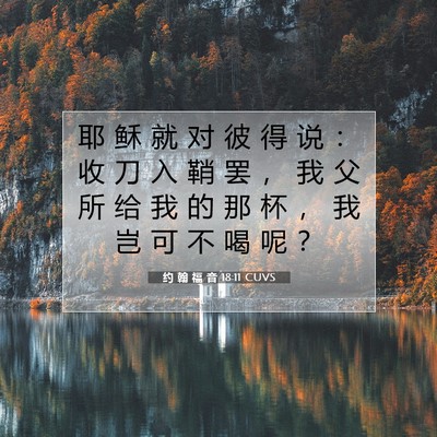 Picture 07 - 约 翰 福 音 18:11 CUVS - 耶 稣 就 对 彼 得 说 ： 收 刀 入 鞘 - Bible Verse Picture