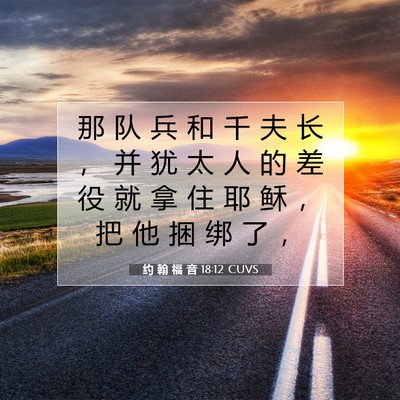 Picture 07 - 约 翰 福 音 18:12 CUVS - 那 队 兵 和 千 夫 长 ， 并 犹 太 人 - Bible Verse Picture