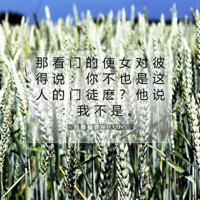 Picture 07 - 约 翰 福 音 18:17 CUVS - 那 看 门 的 使 女 对 彼 得 说 ： 你 - Bible Verse Picture