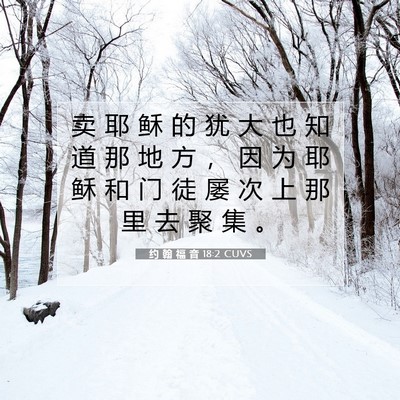 Picture 07 - 约 翰 福 音 18:2 CUVS - 卖 耶 稣 的 犹 大 也 知 道 那 地 方 - Bible Verse Picture