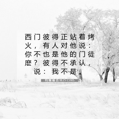 Picture 07 - 约 翰 福 音 18:25 CUVS - 西 门 彼 得 正 站 着 烤 火 ， 有 人 - Bible Verse Picture